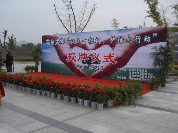 让我们与树木共同成长1.jpg