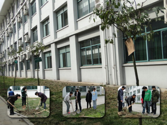 11.03.25 “为爱添绿，情系应用”——应用技术学院开展植树活动1.jpg