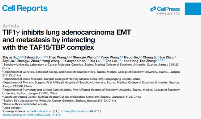 基础医学与生物科学学院张洪涛课题组在Cell Reports发表最新研究成果